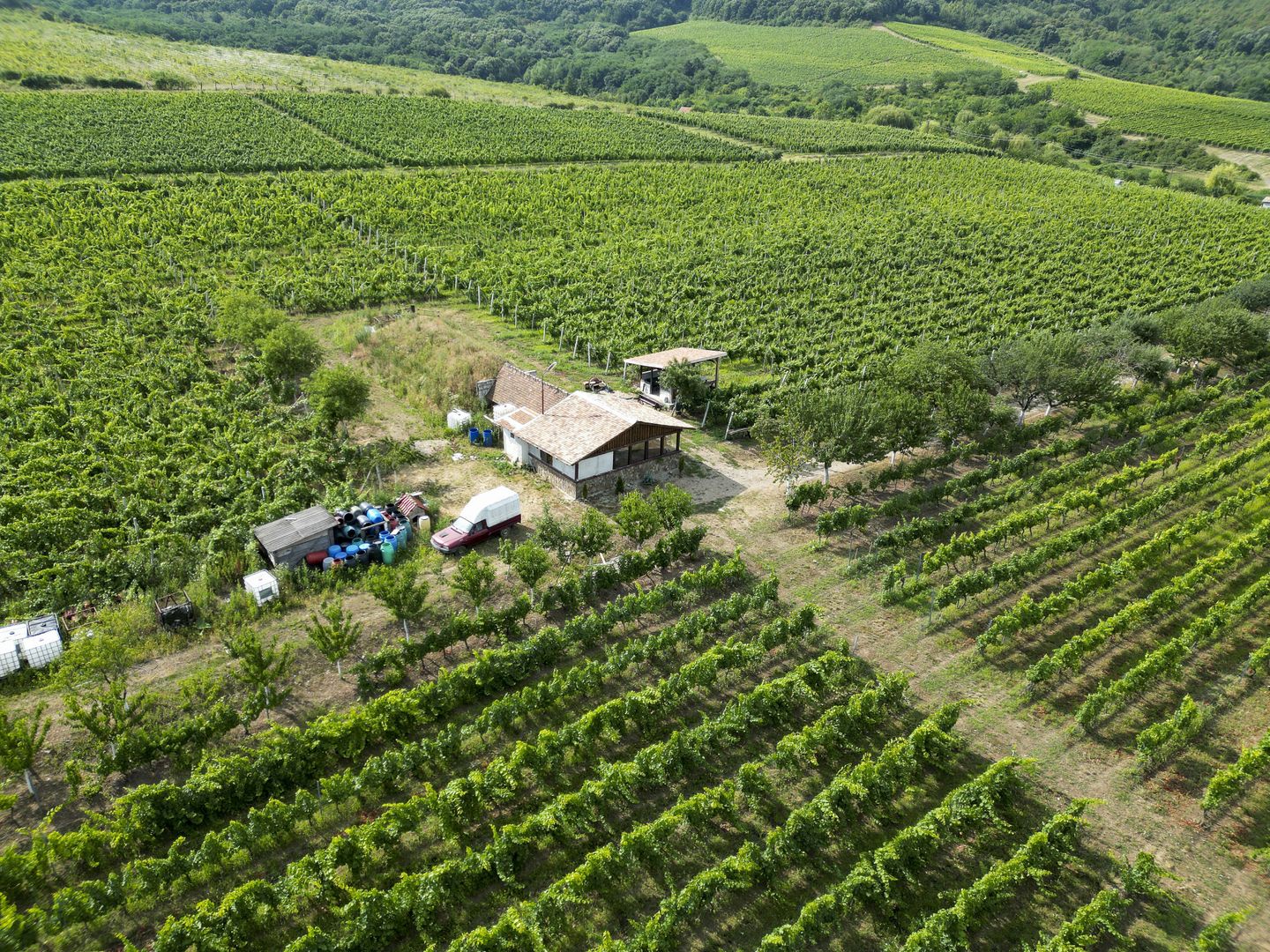 Vie Tradițională „Halta Lupilor” - Poză 26