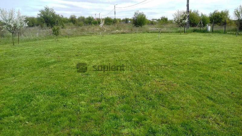 Teren extravilan in zona Oncea - Poză 10