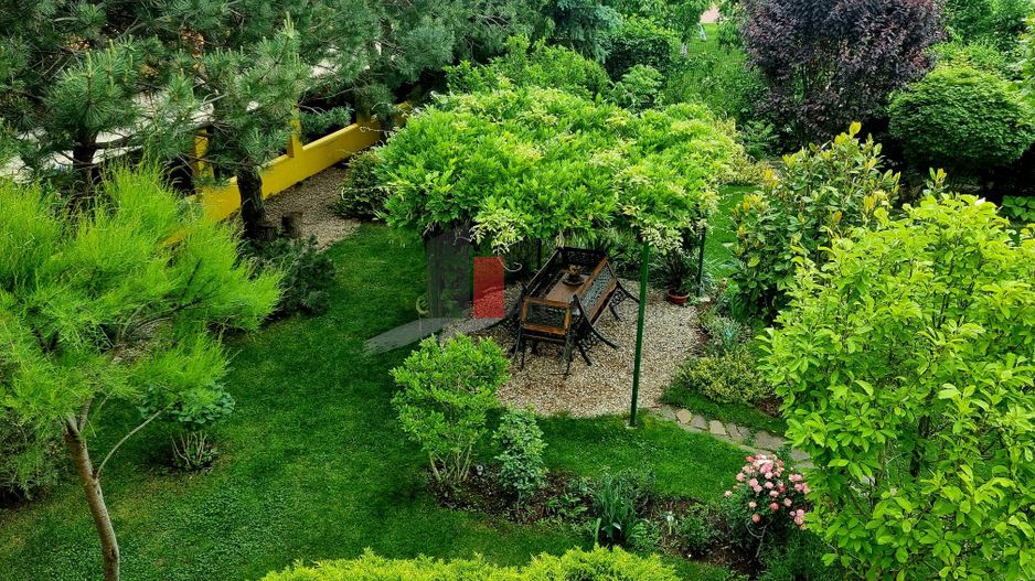 Vila cu gradina impresionanta | Prosumator | Tancabesti - Poză 10