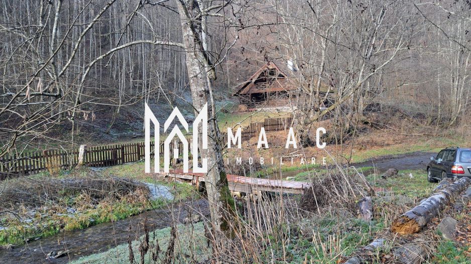 Paradis pe Transalpina in Sugag - Poză 26