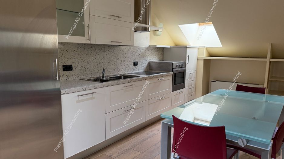 Cladire istorica integral inchiriata | 1.300 mp | colt de strada | Iosefin – TM - Poză 17