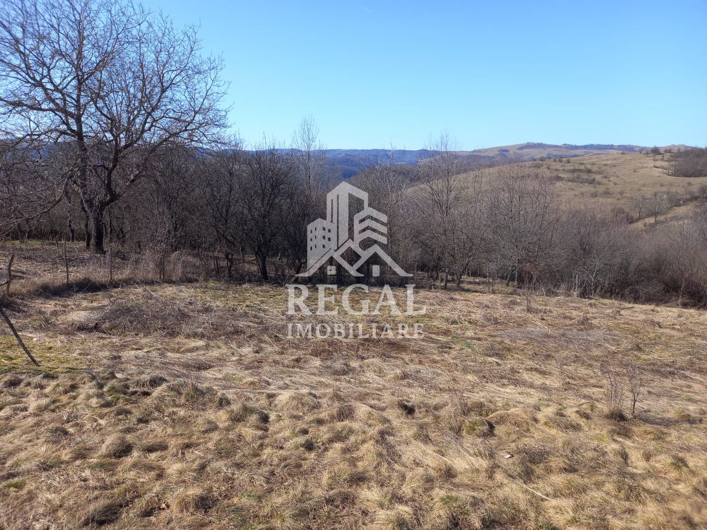 Două case de vânzare – Cerisor – teren generos 6996 mp - Poză 13