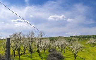 Teren 3.000 mp Bunești – E58, 23 m deschidere - Poză 1