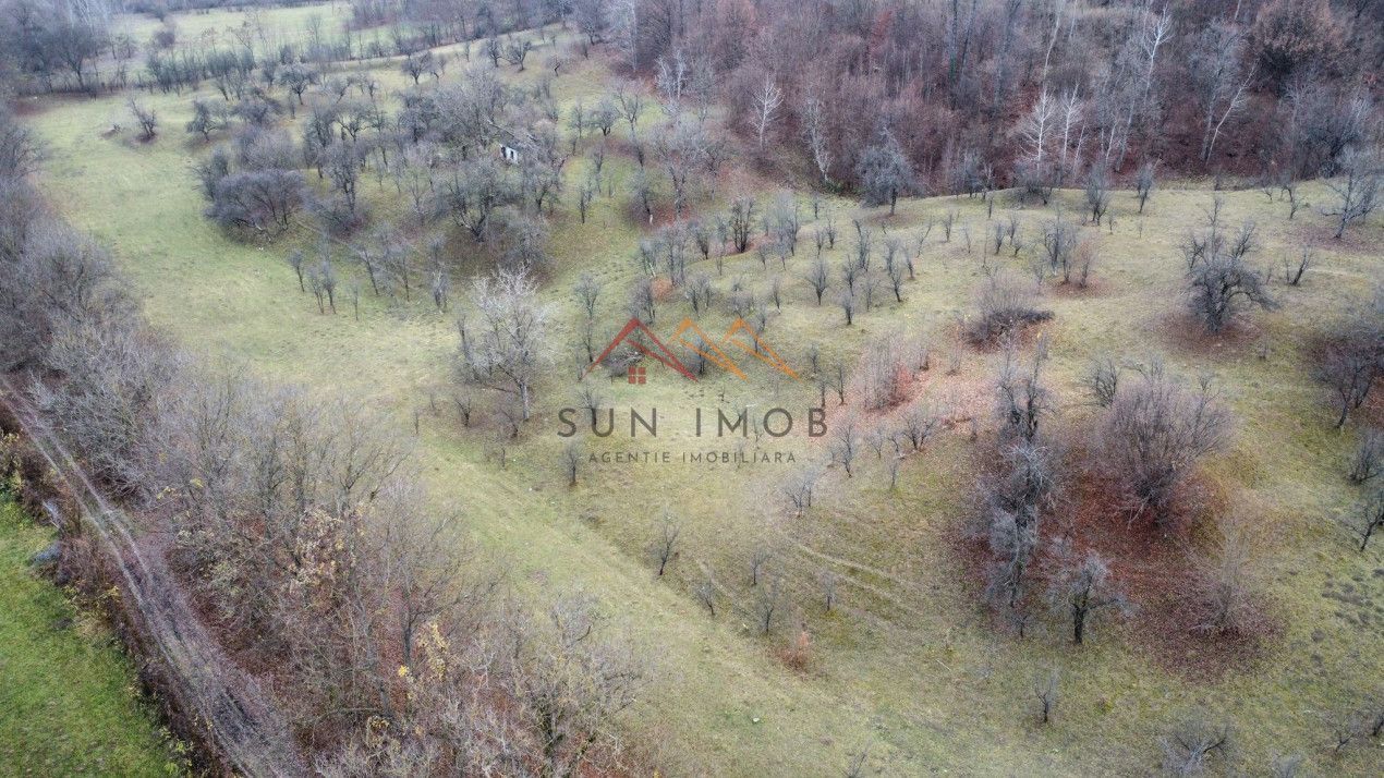 Teren 36000 m2, intravilan+partial extravilan, cadastru, Draganeasa PH - Poză 9