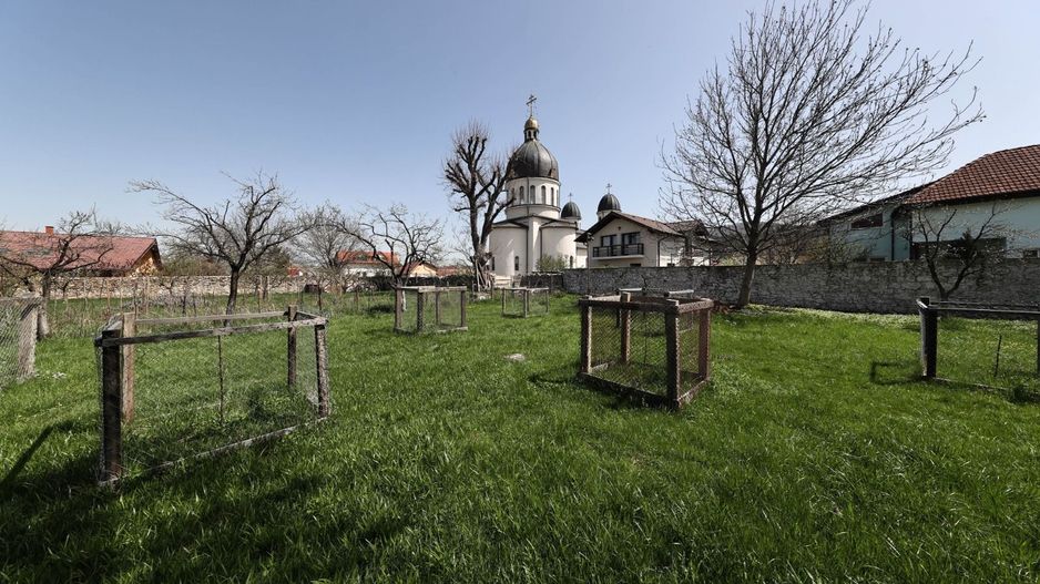 Casă Săsească Autentică cu Șură Impresionantă în Cristian – Teren 2729mp - Poză 13