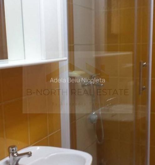 Apartament 4 camere de închiriat, 120 mp, vilă, ideal sediu firmă - Poză 8