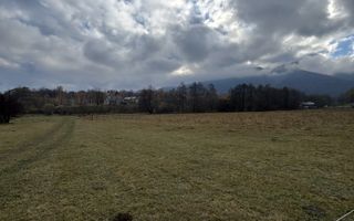 Teren Zarnesti | Tohanita | Intravilan | PUZ aprobat | Fara Utilitati | 9.053mp - Poză 20