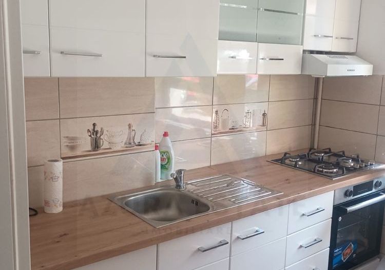 Apartament 2 camere complet mobilat parter 50 mp utili zona Terezian - Poză 5