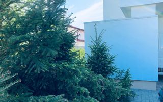 Vila cu 5 camere *200mp* + Teren *300* / 3 locuri de parcare // Pipera - Poză 19