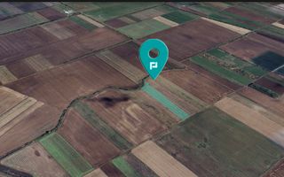 TEREN ARABIL DE 8.700 MP SACOȘU TURCES - Poză 1