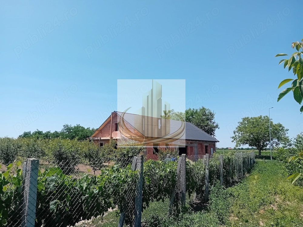 Vand/Schimb Livada Belint 16000mp - Poză 4