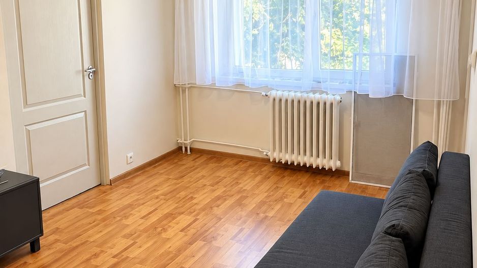 Șagului | Intrarea Castanilor | 3 Camere | Recent renovat | Pet Friendly - Poză 3