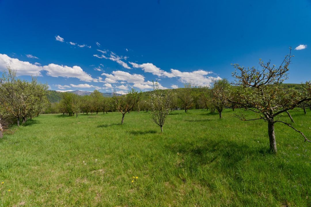 Casa Valea Mare Pravat (Campulung-Arges ) - farmec interbelic - Poză 3