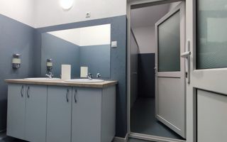 Inchiriere Spații de Birouri/Producție - Str. Uzinei - Carei - Comision 0% - Poză 6