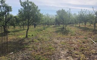 Casa de vanzare in loc. Crucisor - Poză 8