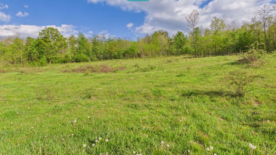 Casă cu teren de 17.681 mp, în loc. Hălmăgel, Arad - Poză 24