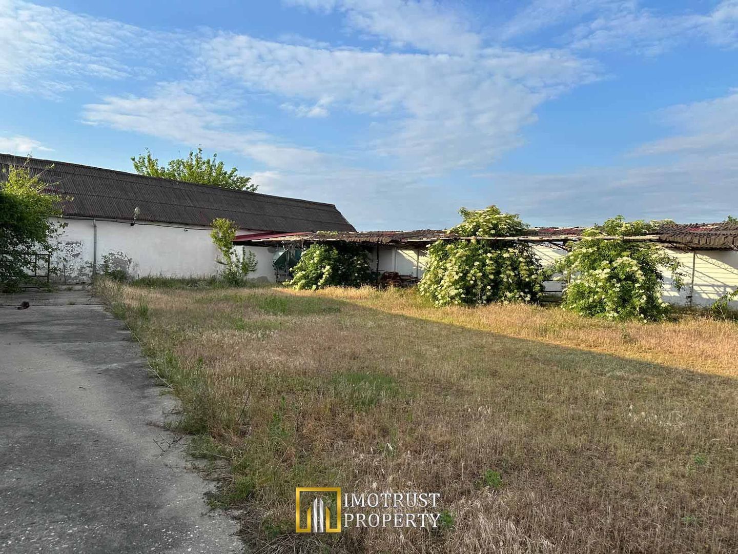 Teren 9.508 mp cu 2 fronturi stradale – Sofronea, Arad - Poză 2