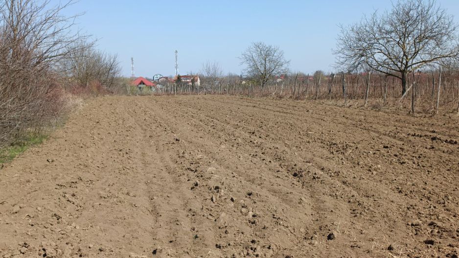 Teren extravilan 2400 mp in Afumati - Poză 1