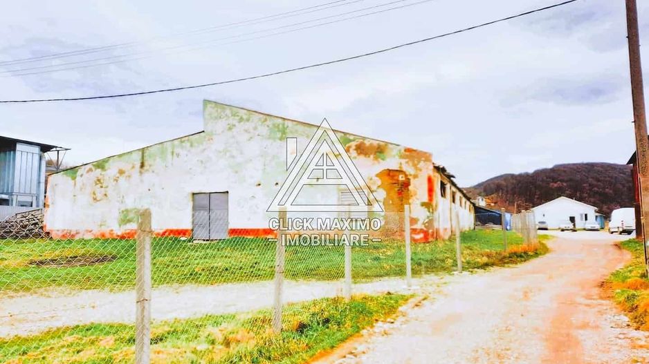 770 mp HALA TIP AVICOLA si 1390 mp TEREN INTRAVILAN, BECLEAN-BISTRITA - Poză 4