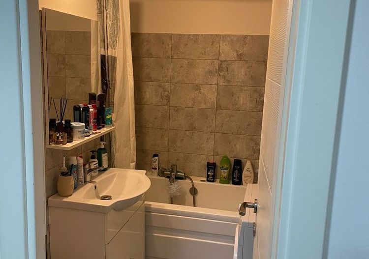 Garsoniera 33 mp luica/brancoveanu - Poză 5