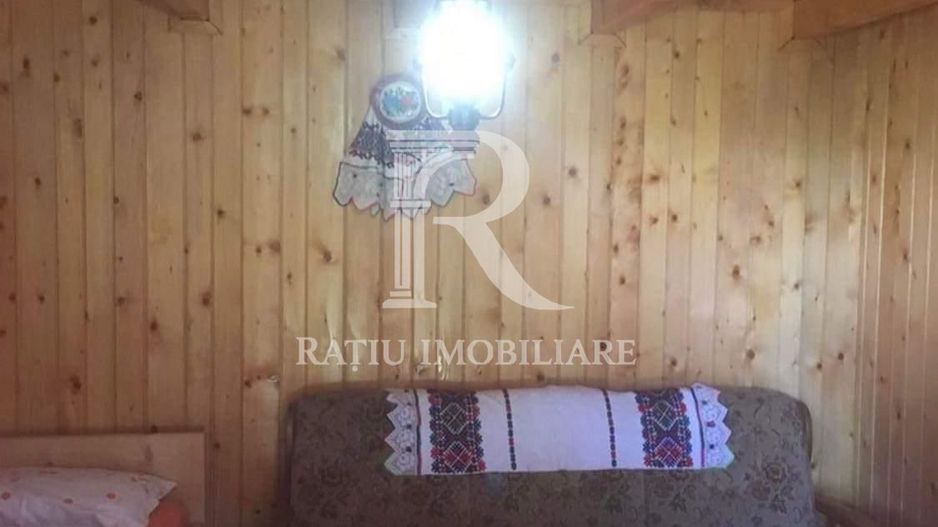 Pensiune cu 6 iazuri și 22 locuri | Peștera Urșilor | Apuseni - Poză 18