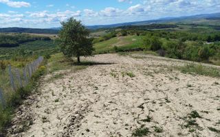 Teren intravilan, Dealul Dumitrei - Poză 2