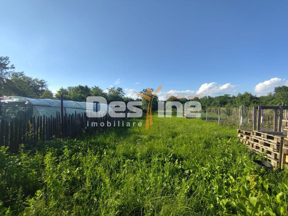 Casa Batraneasca cu 1410 mp teren, Cocorastii MIslii. - Poză 8
