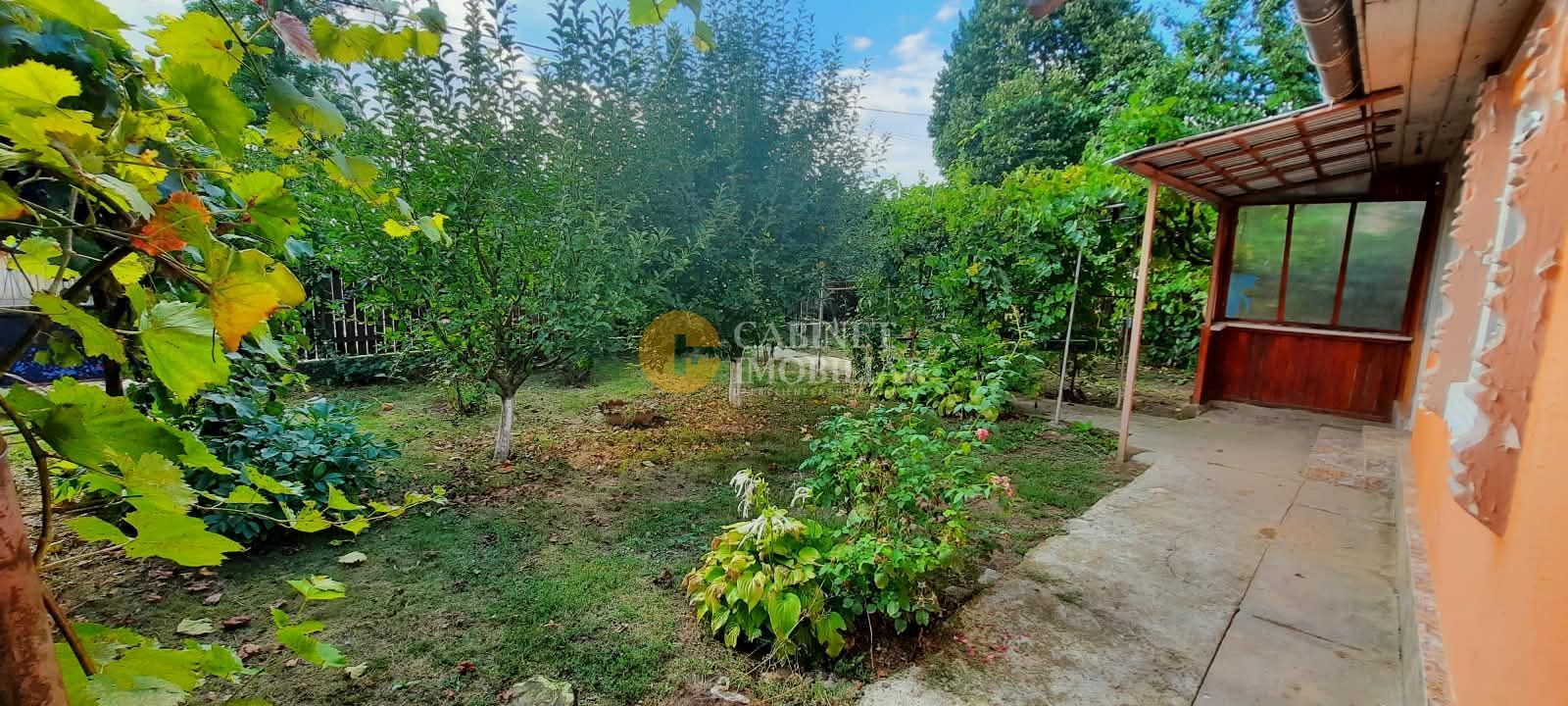 🏡 CASĂ BĂTRÂNEASCĂ LOCUIBILĂ DE VÂNZARE – TRIFEȘTI, IAȘI 🏡 - Poză 2