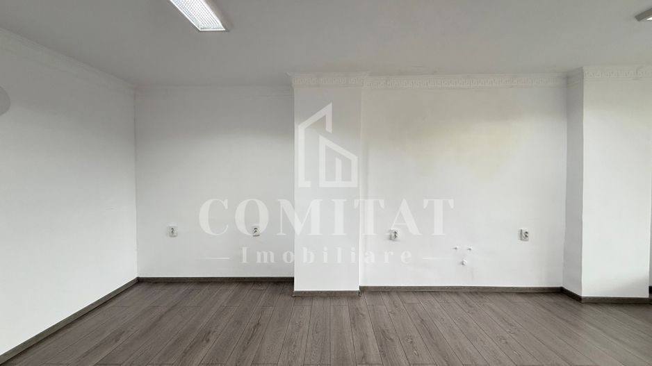 Clădire pentru sediu de firmă | Garaj 3–4 mașini | Titulescu - Poză 2