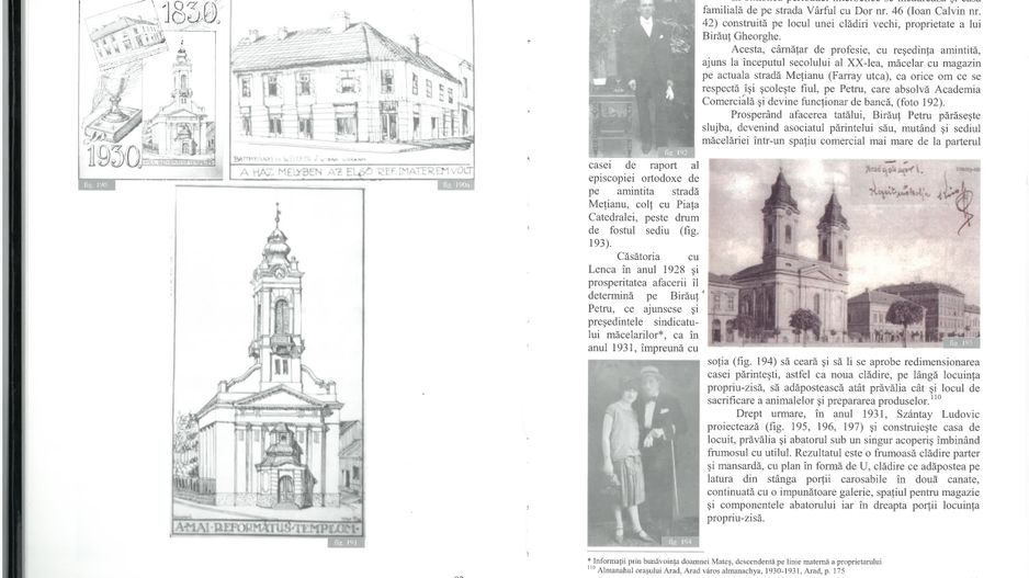 VILĂ INTERBELICĂ CU TEREN GENEROS ȘI SPAȚIU COMERCIAL . VÂRFUL CU DOR - Poză 17