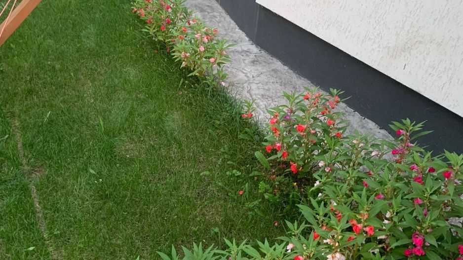 casa 3 camere | curte 229 mp | Tunari | Pipera | Otopeni - Poză 16