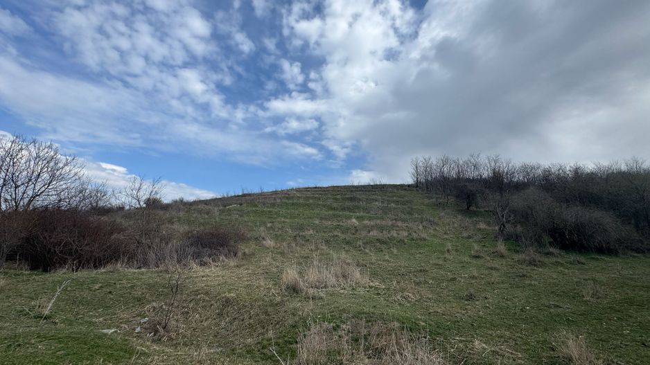 Teren 10262 mp extravilan Episcopia Oradea - Poză 3