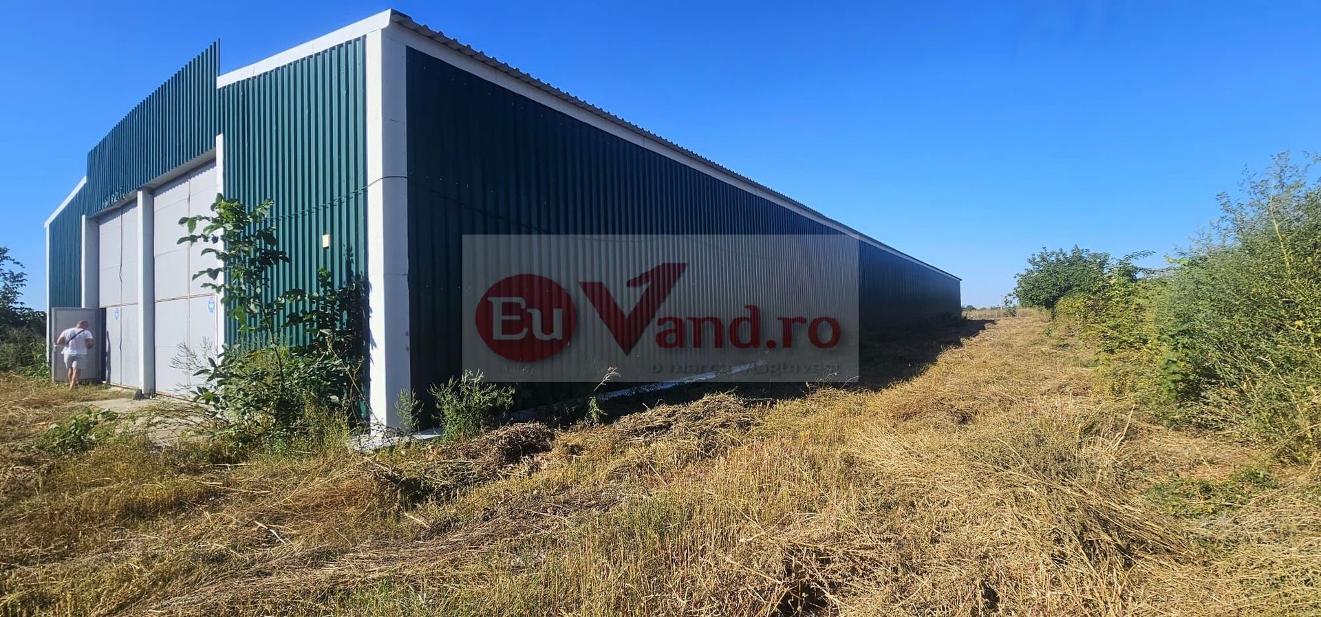 Hala 1.533 mp cu teren 5.000 mp – Vanatori, zona Maylo - Poză 16