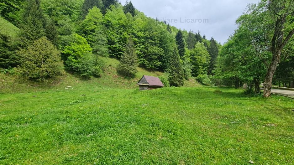 13005 mp teren faneata in Bran Simon cu fornt de 57 mp - Poză 1
