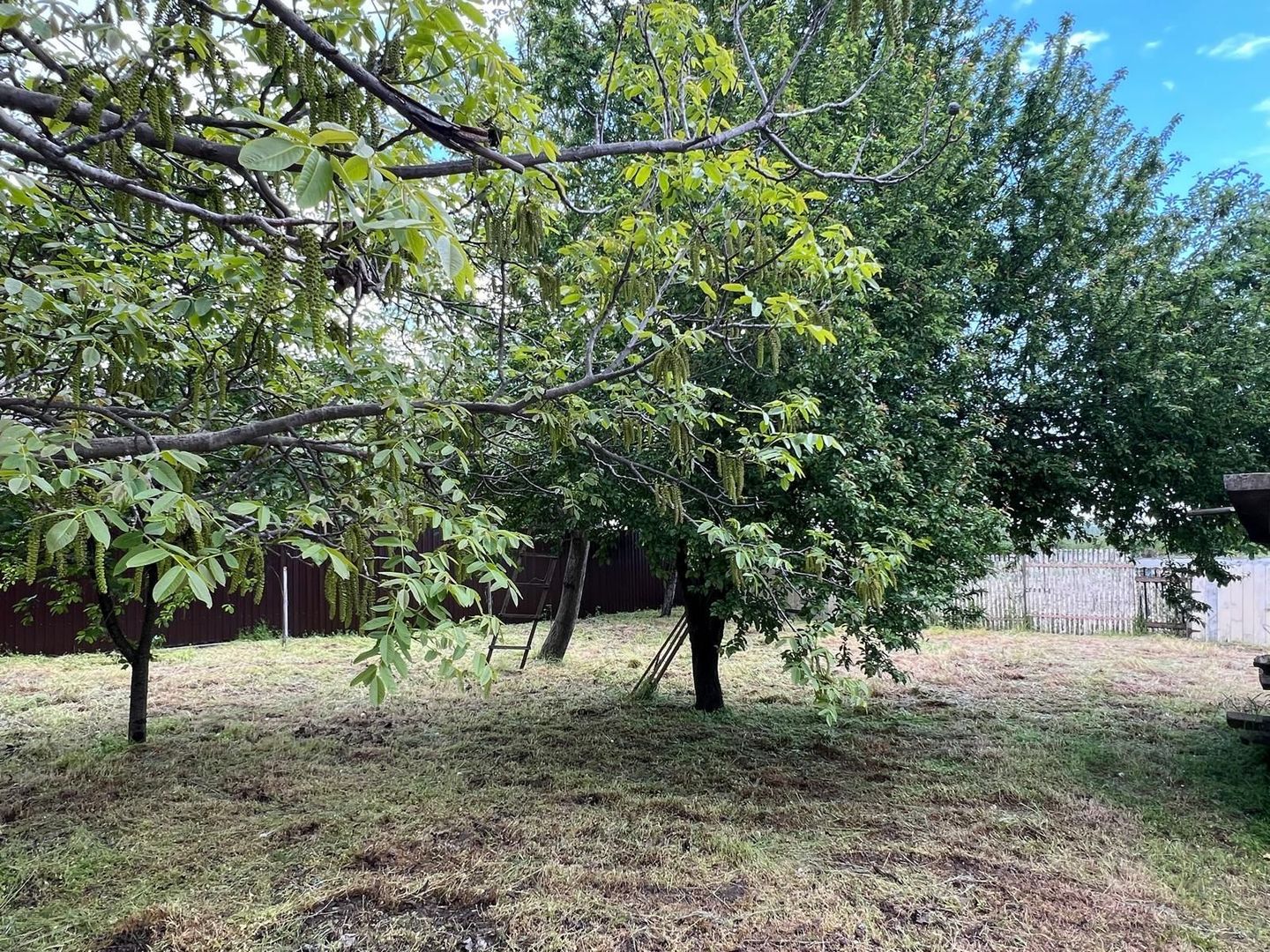 🏡 CASĂ + TEREN INTRAVILAN 4.971 MP – URECHEȘTI, VRANCEA - Poză 33