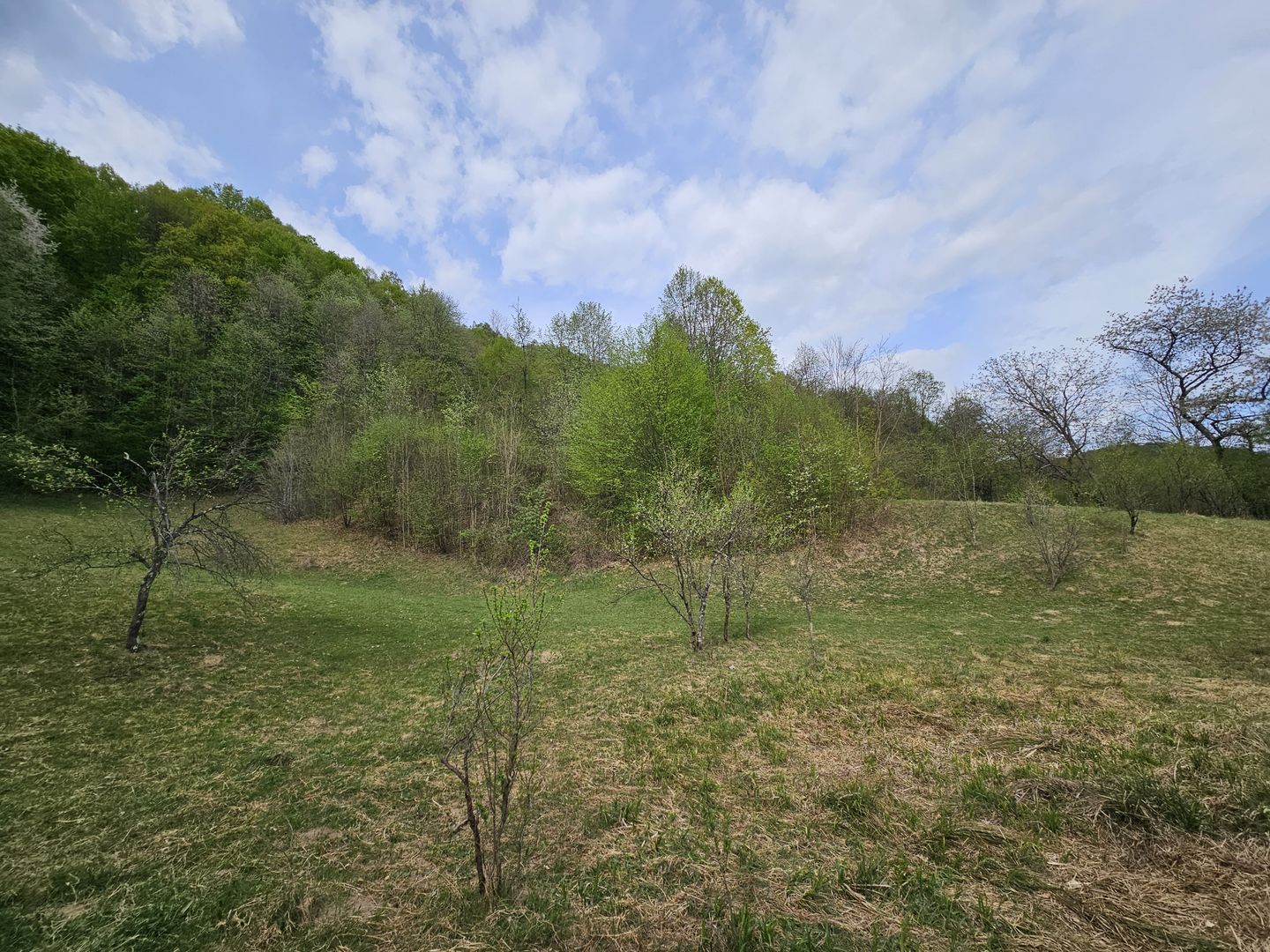 Teren intravilan 1454 mp la marginea padurii zona locuita de case! - Poză 9