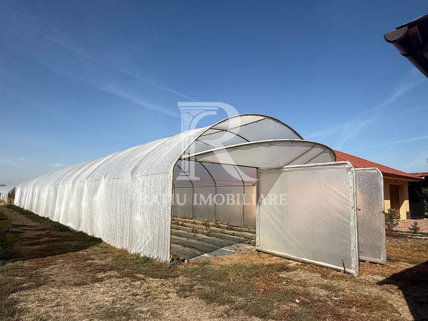 Teren intravilan agricol | 7029 mp | Satu Nou | Bihor - Poză 3