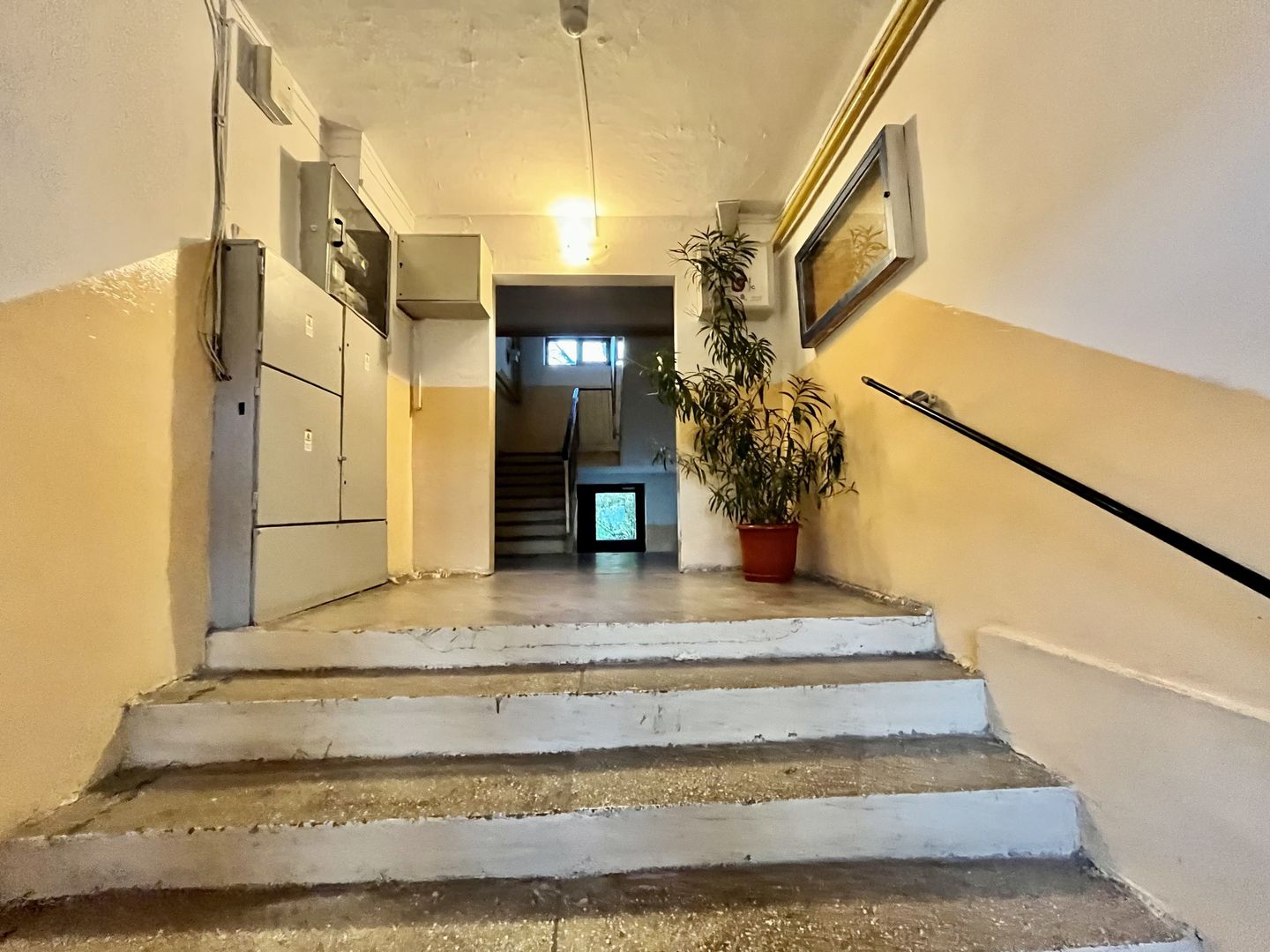 Apartament 3 camere, 2 bai, etajul 1,  in  zona Aradului - Piața Verde - Poză 19