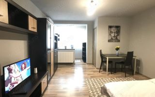 Apartament 1 camera zona Medicina - Poză 1