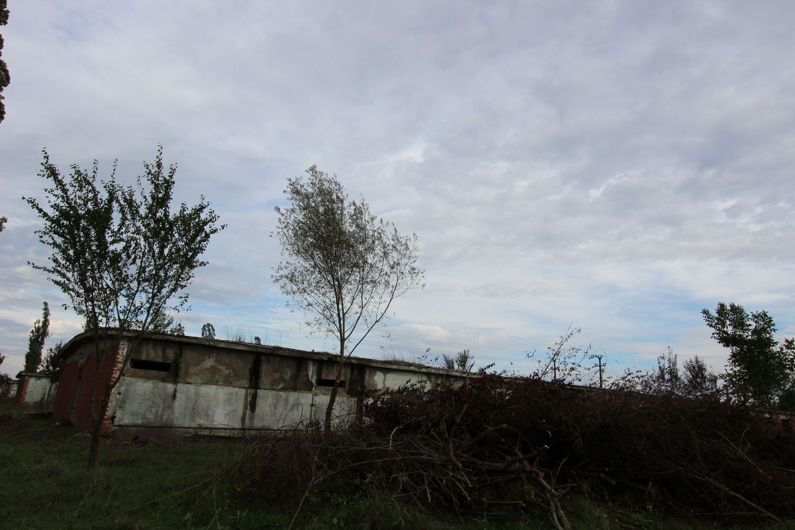 Vanzare hale Mosnita Noua-fosta Ferma 7 - Poză 15