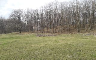 Teren Extravilan 4.572mp | Zonă liniștită | Sadu - Poză 9