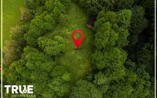Teren intravilan 2.800 m² în Câmpu Cetății – liniște și natură - Poză 12