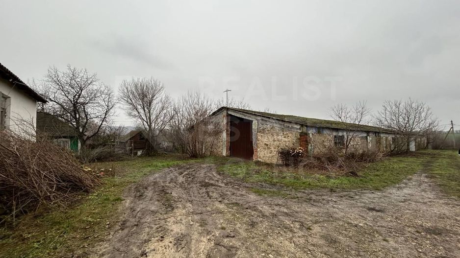 Vânzare, spațiu comercial, satul Zgurița, Drochia - Poză 10