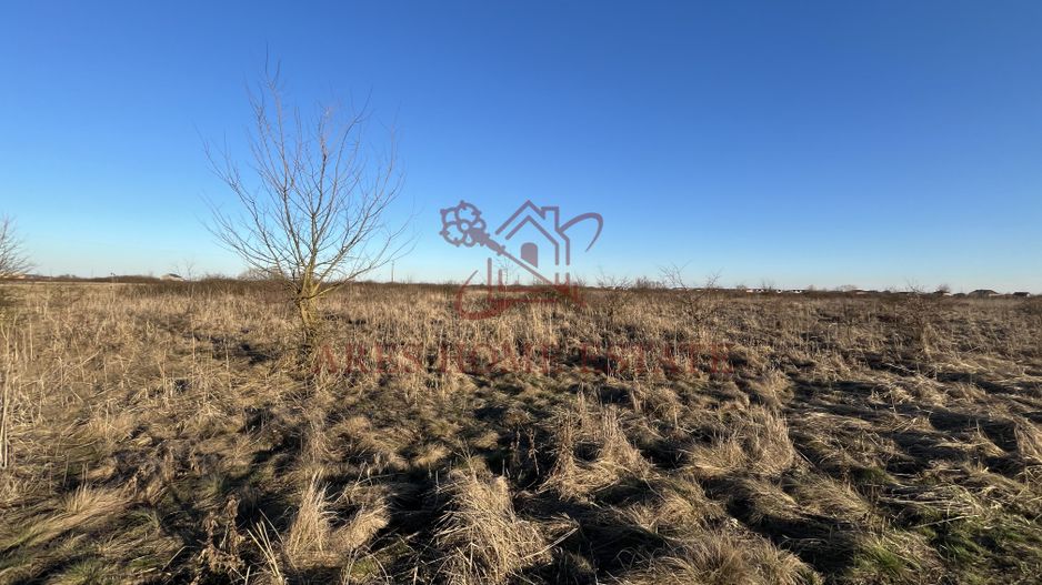 Zona Urban Village, aproape de centura | 20 euro/mp | Mosnita Veche - Poză 2