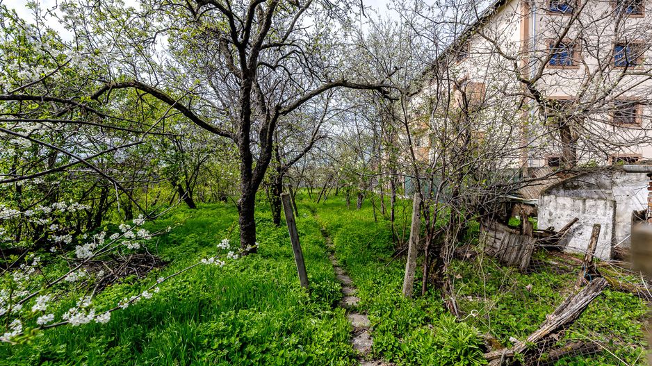 Ocazie Casa veche cu teren generos de 1095 mp in Parneava - Poză 3