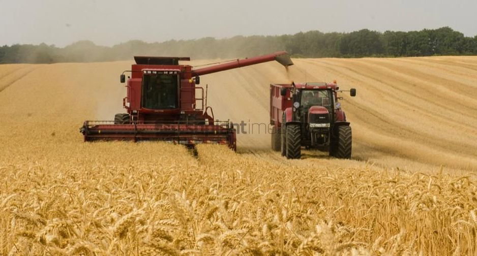 OCAZIE !!! Terenuri agricole de vanzare in Hidiselu de Sus - Poză 1