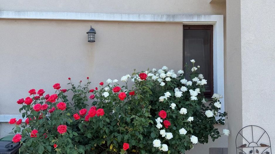 Duplex spatios - complet mobilat -  Dumbravita - Poză 10