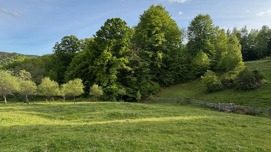 Teren de vânzare în Cugir - Poză 1