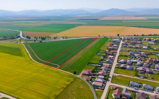Teren 15.600 mp | Harman, Brasov - Poză 8