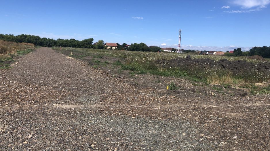 Teren Sanandrei-645 mp - Poză 8